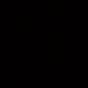 Meet your Posher, Tatiana